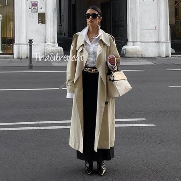 BLOGGER'S FAVE! Zara Gold Metal Belt NWT - Picture 4 of 17